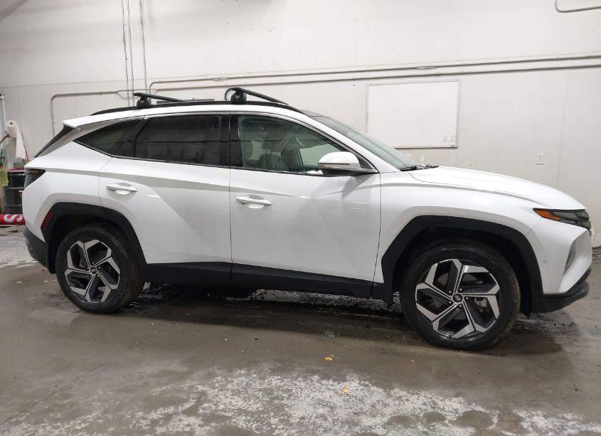 Photo 13 of 2023 Hyundai Tucson LIMITED (VIN 5NMJECAE6PH192536)