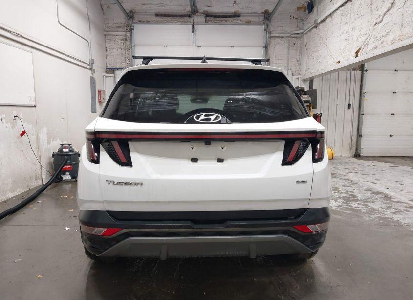Photo 16 of 2023 Hyundai Tucson LIMITED (VIN 5NMJECAE6PH192536)