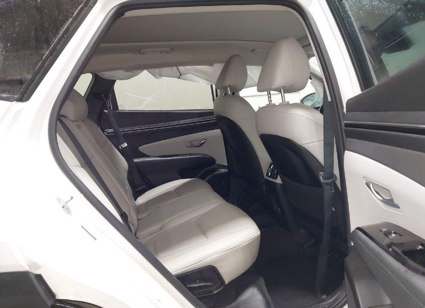 Photo 8 of 2023 Hyundai Tucson LIMITED (VIN 5NMJECAE6PH192536)
