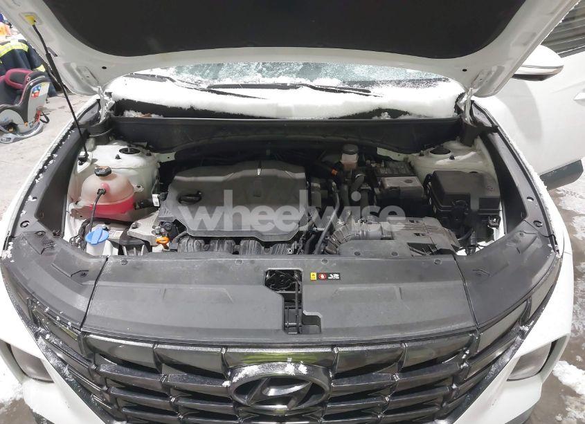 Photo 10 of 2022 Hyundai Tucson LIMITED (VIN 5NMJECAE7NH050354)