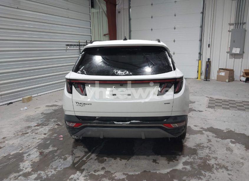 Photo 16 of 2022 Hyundai Tucson LIMITED (VIN 5NMJECAE7NH050354)