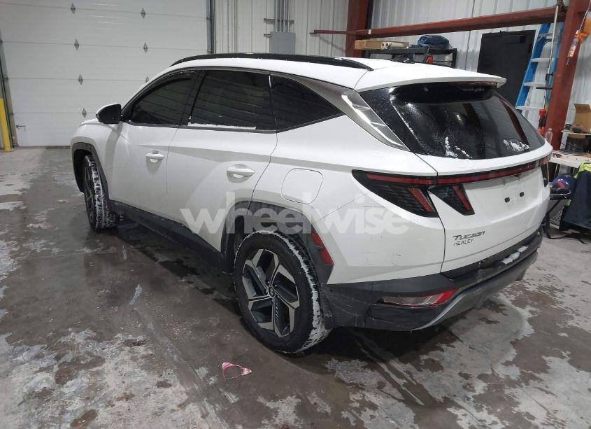 Photo 3 of 2022 Hyundai Tucson LIMITED (VIN 5NMJECAE7NH050354)