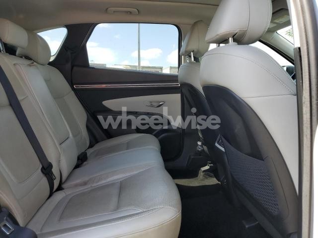 2023 HYUNDAI TUCSON LIMITED (VIN 5NMJECAE7PH200286) main photo