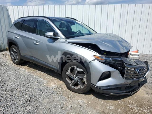 Photo 10 of 2023 HYUNDAI TUCSON LIMITED (VIN 5NMJECAE7PH200286)