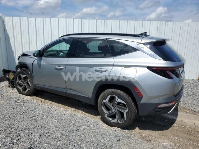 Photo 7 of 2023 HYUNDAI TUCSON LIMITED (VIN 5NMJECAE7PH200286)