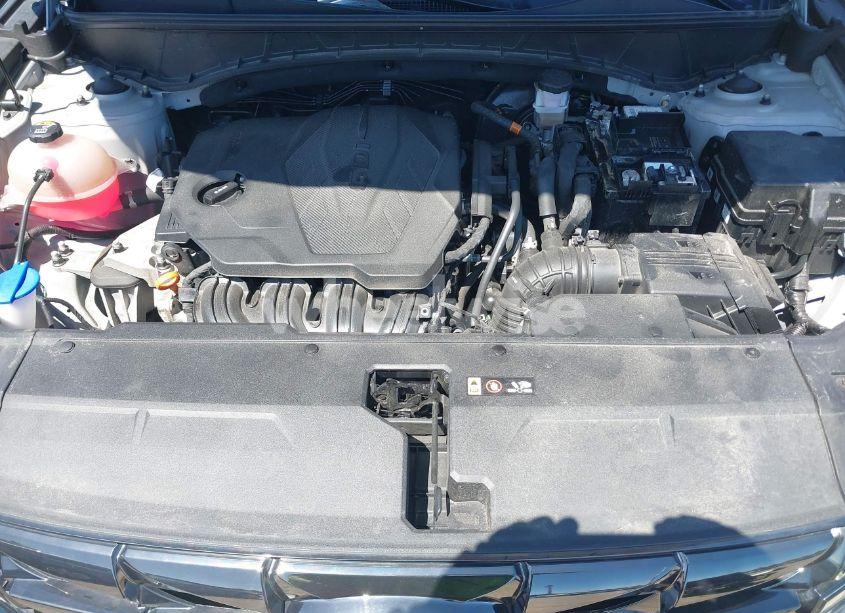 Photo 10 of 2022 Hyundai Tucson LIMITED (VIN 5NMJECAE8NH019405)