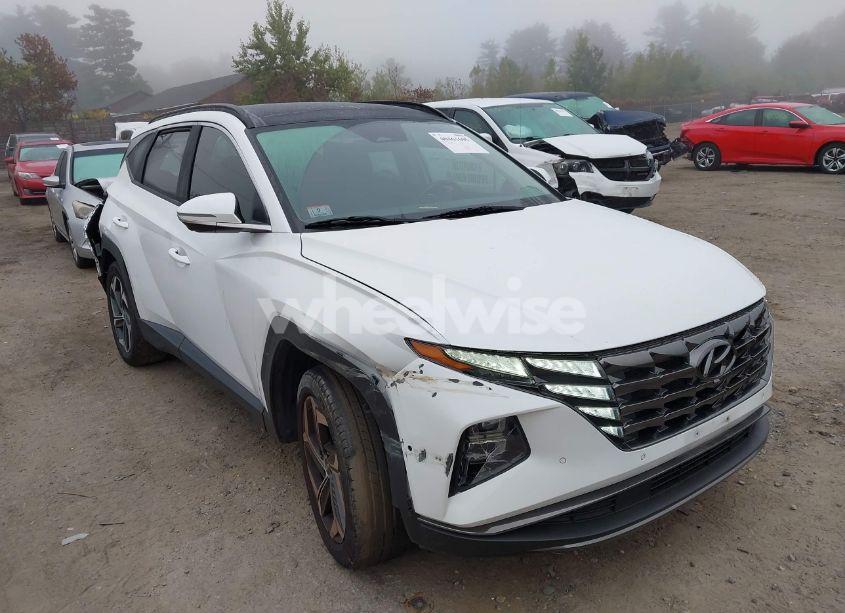 2022 Hyundai Tucson LIMITED (VIN 5NMJECAE8NH036530) main photo