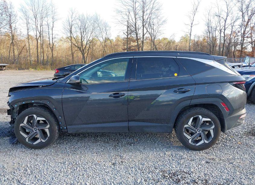Photo 14 of 2022 Hyundai Tucson LIMITED (VIN 5NMJECAE8NH054137)