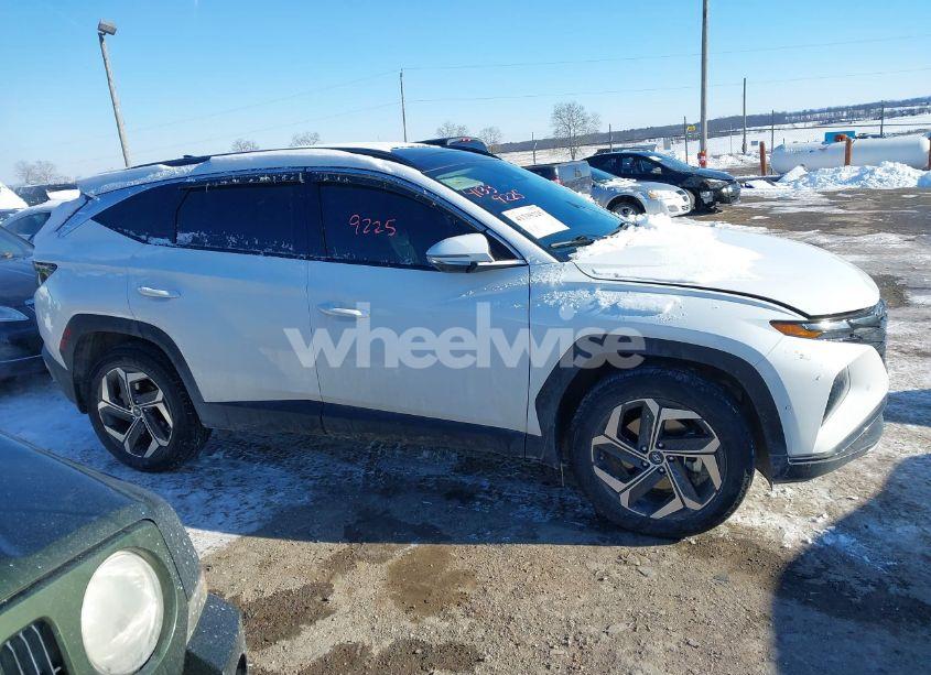 Photo 13 of 2023 Hyundai Tucson LIMITED (VIN 5NMJECAE8PH179190)