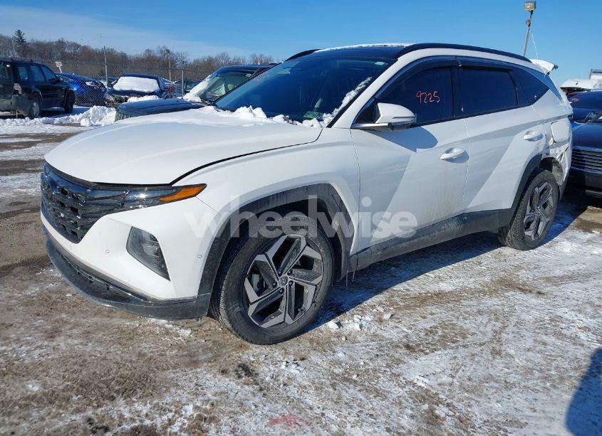 Photo 2 of 2023 Hyundai Tucson LIMITED (VIN 5NMJECAE8PH179190)