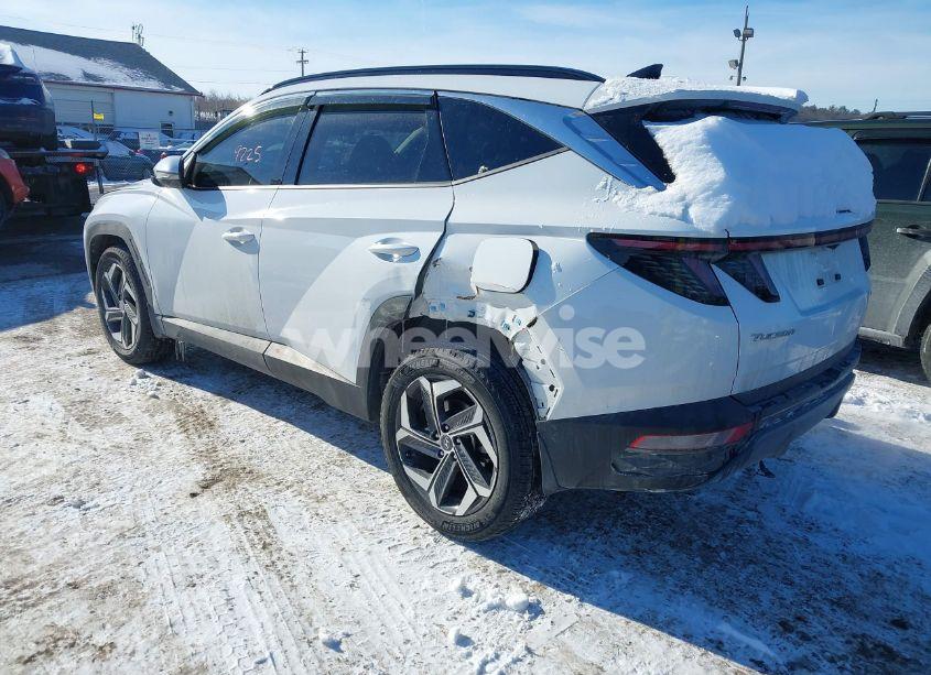 Photo 3 of 2023 Hyundai Tucson LIMITED (VIN 5NMJECAE8PH179190)