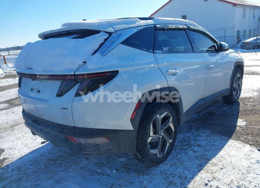 Photo 4 of 2023 Hyundai Tucson LIMITED (VIN 5NMJECAE8PH179190)