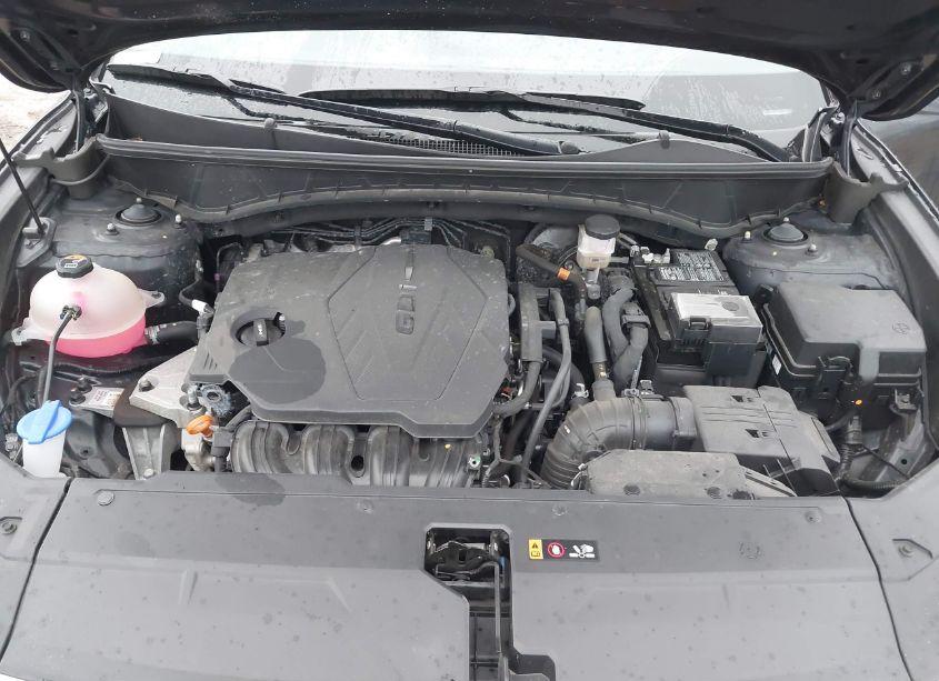 Photo 10 of 2023 Hyundai Tucson LIMITED (VIN 5NMJECAE8PH193638)