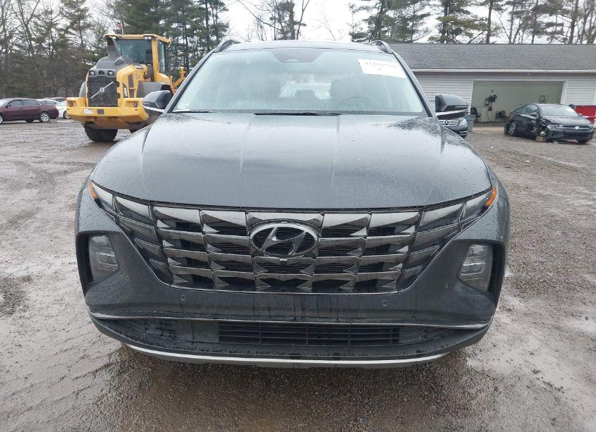 Photo 13 of 2023 Hyundai Tucson LIMITED (VIN 5NMJECAE8PH193638)