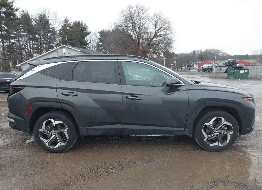 Photo 14 of 2023 Hyundai Tucson LIMITED (VIN 5NMJECAE8PH193638)