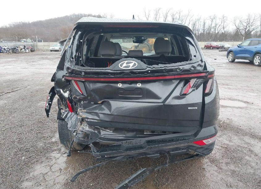 Photo 17 of 2023 Hyundai Tucson LIMITED (VIN 5NMJECAE8PH193638)