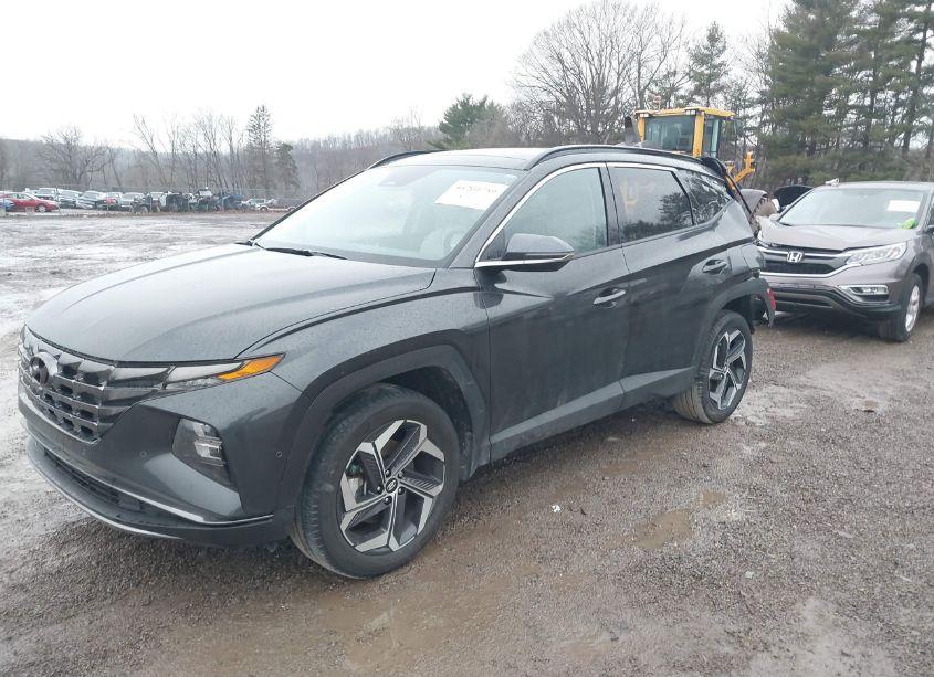 Photo 2 of 2023 Hyundai Tucson LIMITED (VIN 5NMJECAE8PH193638)