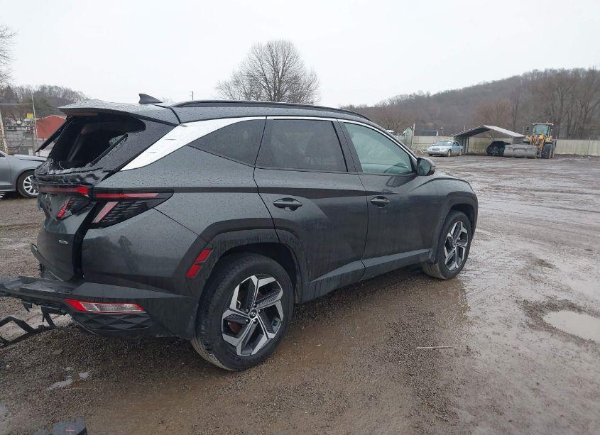 Photo 4 of 2023 Hyundai Tucson LIMITED (VIN 5NMJECAE8PH193638)
