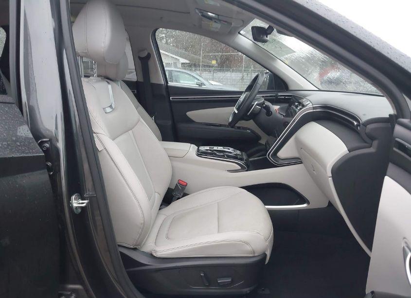 Photo 5 of 2023 Hyundai Tucson LIMITED (VIN 5NMJECAE8PH193638)