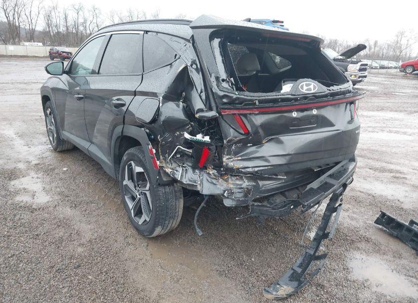 Photo 6 of 2023 Hyundai Tucson LIMITED (VIN 5NMJECAE8PH193638)