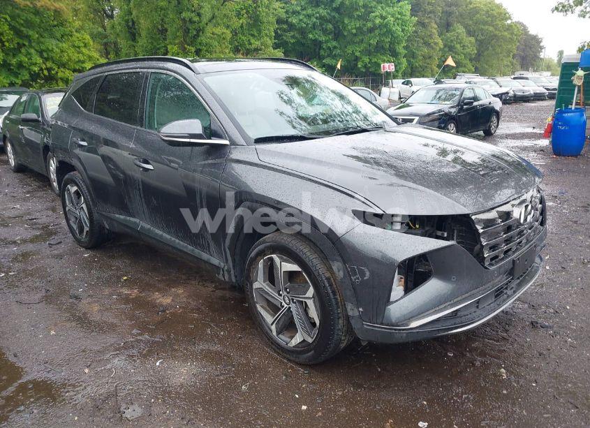 2023 Hyundai Tucson LIMITED (VIN 5NMJECAE8PH280116) main photo