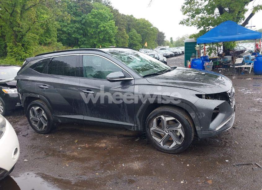 Photo 13 of 2023 Hyundai Tucson LIMITED (VIN 5NMJECAE8PH280116)