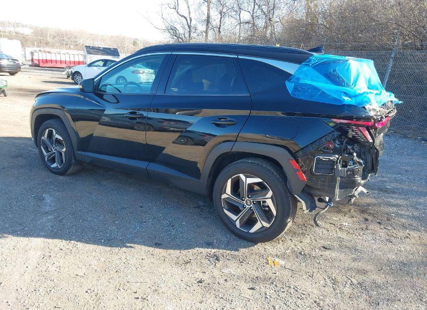 Photo 3 of 2022 Hyundai Tucson LIMITED (VIN 5NMJECAE9NH073439)