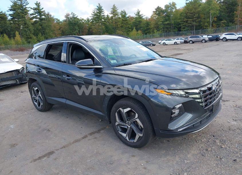 2023 Hyundai Tucson LIMITED (VIN 5NMJECAE9PH164357) main photo