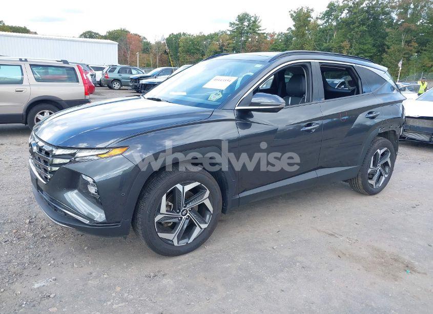 Photo 2 of 2023 Hyundai Tucson LIMITED (VIN 5NMJECAE9PH164357)