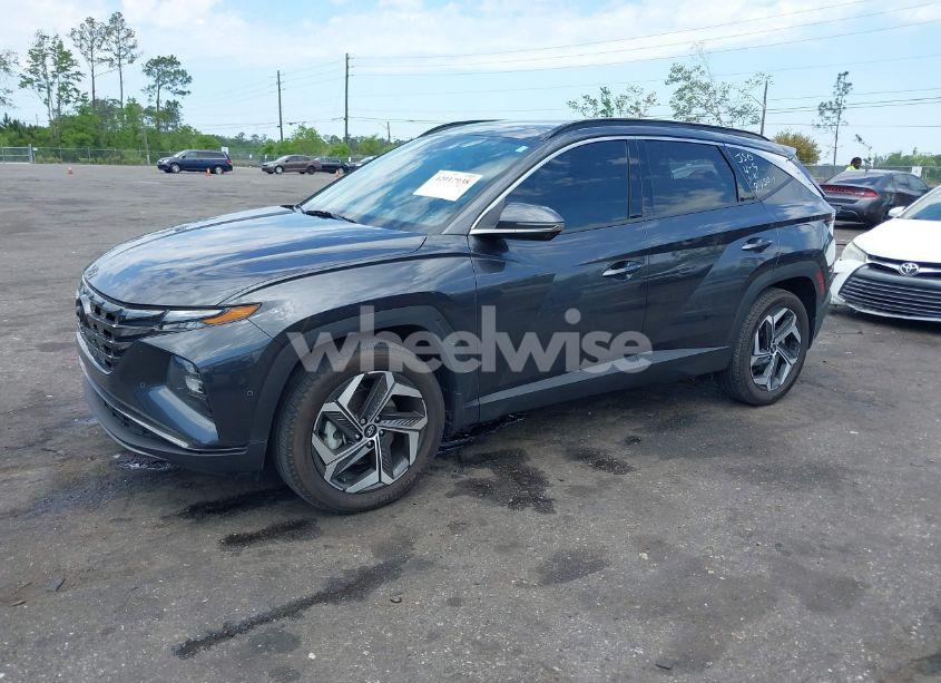 Photo 2 of 2023 Hyundai Tucson LIMITED (VIN 5NMJECAE9PH168750)