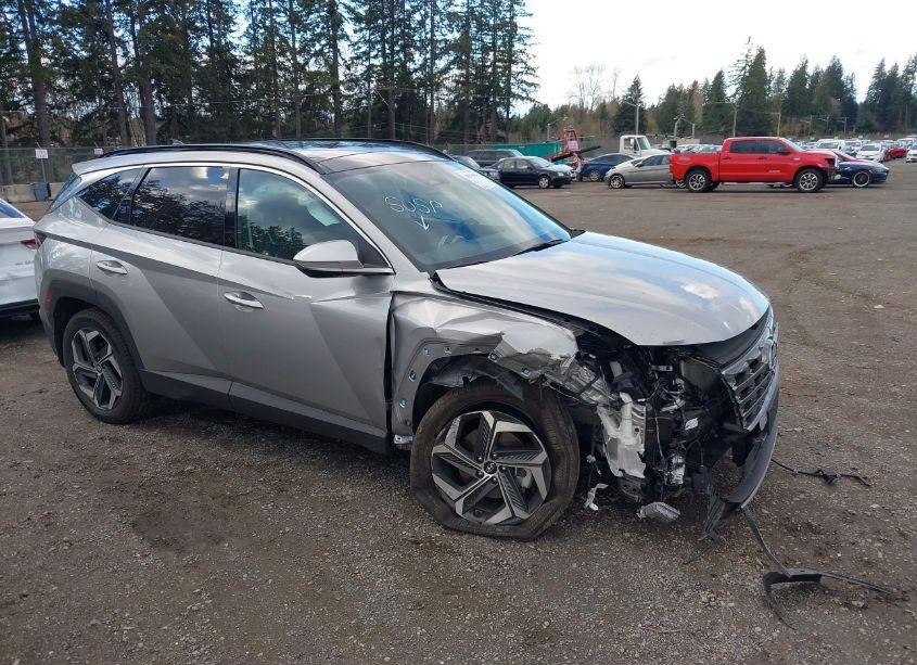 2023 Hyundai Tucson LIMITED (VIN 5NMJECAE9PH175262) main photo