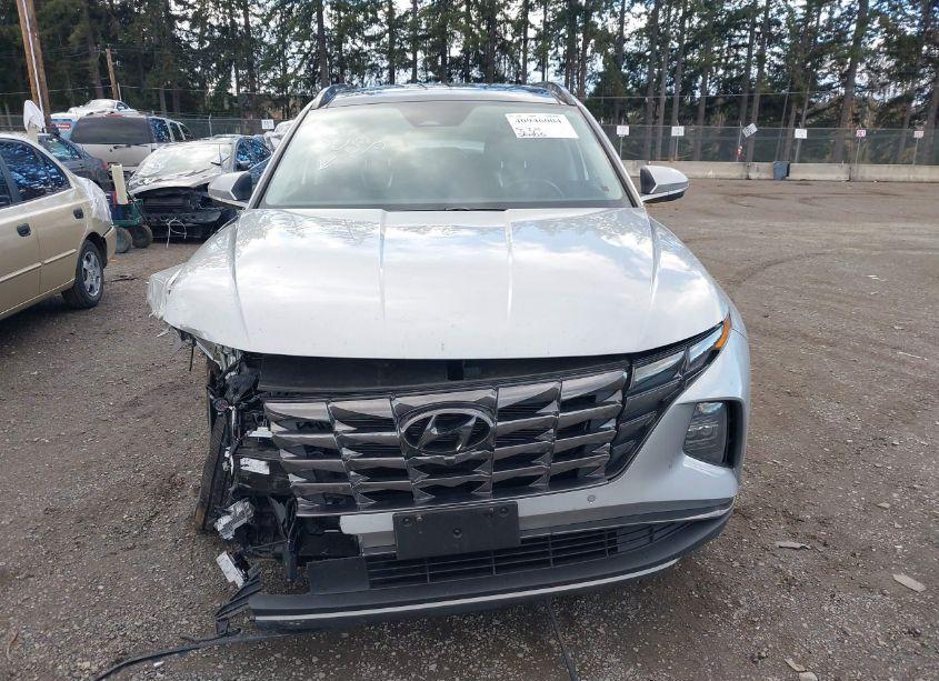 Photo 12 of 2023 Hyundai Tucson LIMITED (VIN 5NMJECAE9PH175262)