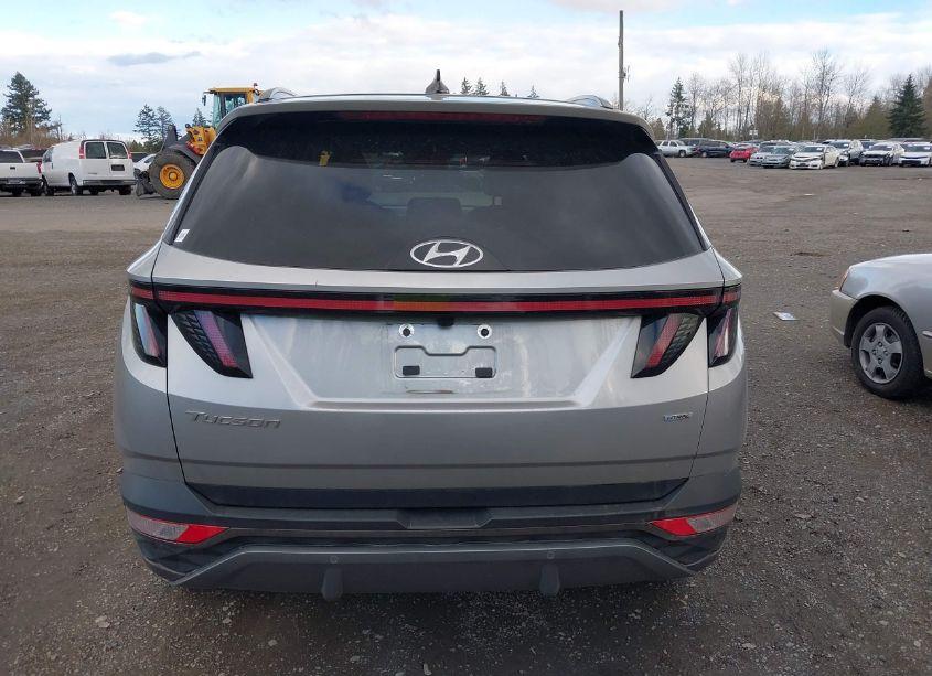 Photo 16 of 2023 Hyundai Tucson LIMITED (VIN 5NMJECAE9PH175262)