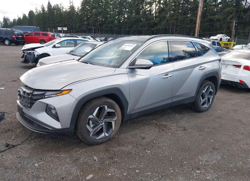 Photo 2 of 2023 Hyundai Tucson LIMITED (VIN 5NMJECAE9PH175262)