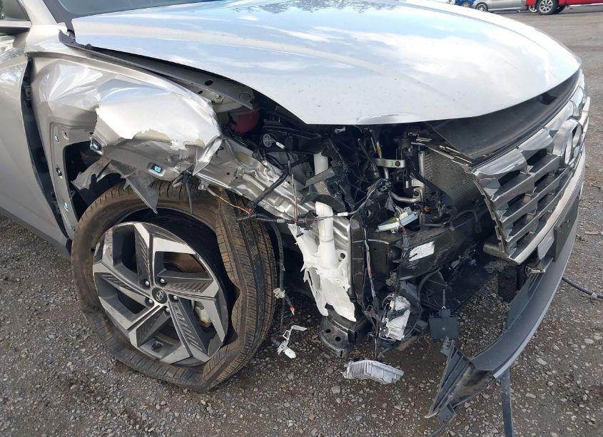 Photo 6 of 2023 Hyundai Tucson LIMITED (VIN 5NMJECAE9PH175262)