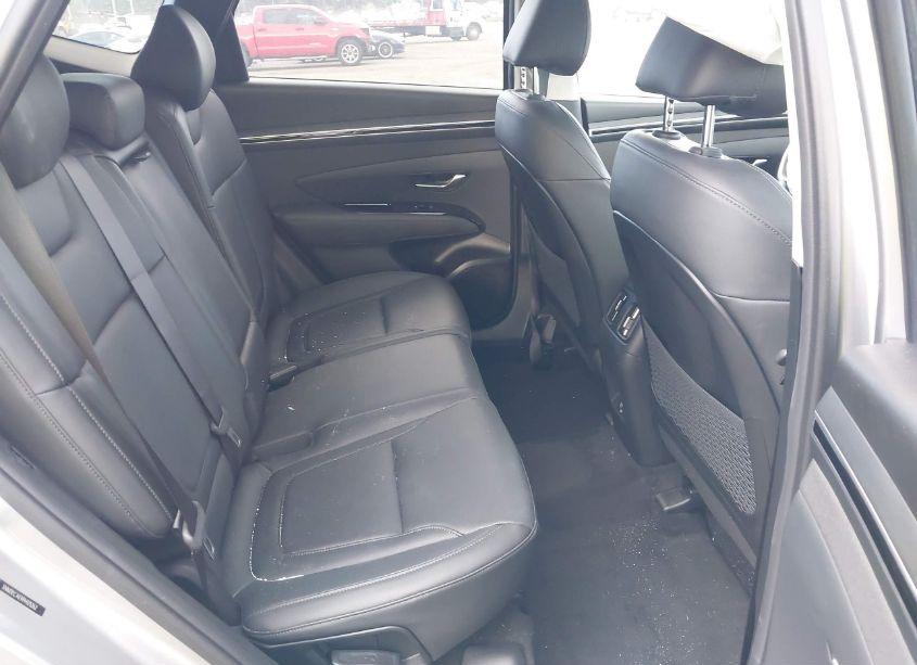 Photo 8 of 2023 Hyundai Tucson LIMITED (VIN 5NMJECAE9PH175262)