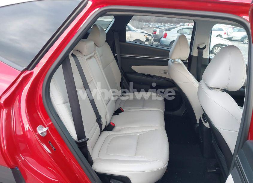 Photo 8 of 2023 Hyundai Tucson LIMITED (VIN 5NMJECAE9PH180414)