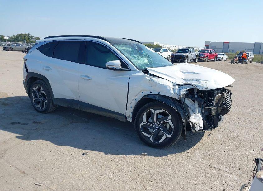 2023 Hyundai Tucson LIMITED (VIN 5NMJECAE9PH189078) main photo