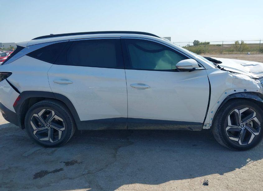 Photo 14 of 2023 Hyundai Tucson LIMITED (VIN 5NMJECAE9PH189078)