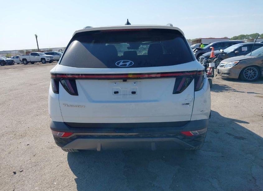 Photo 17 of 2023 Hyundai Tucson LIMITED (VIN 5NMJECAE9PH189078)
