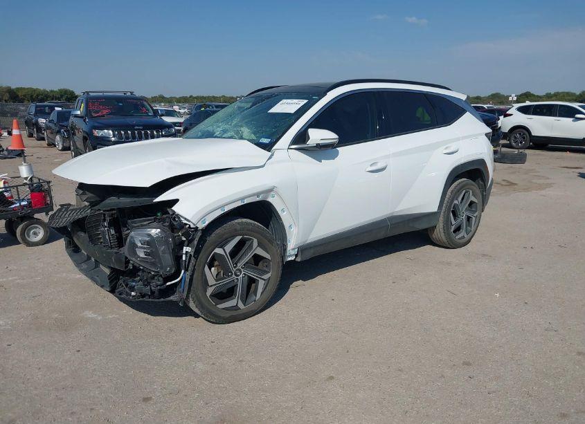 Photo 2 of 2023 Hyundai Tucson LIMITED (VIN 5NMJECAE9PH189078)