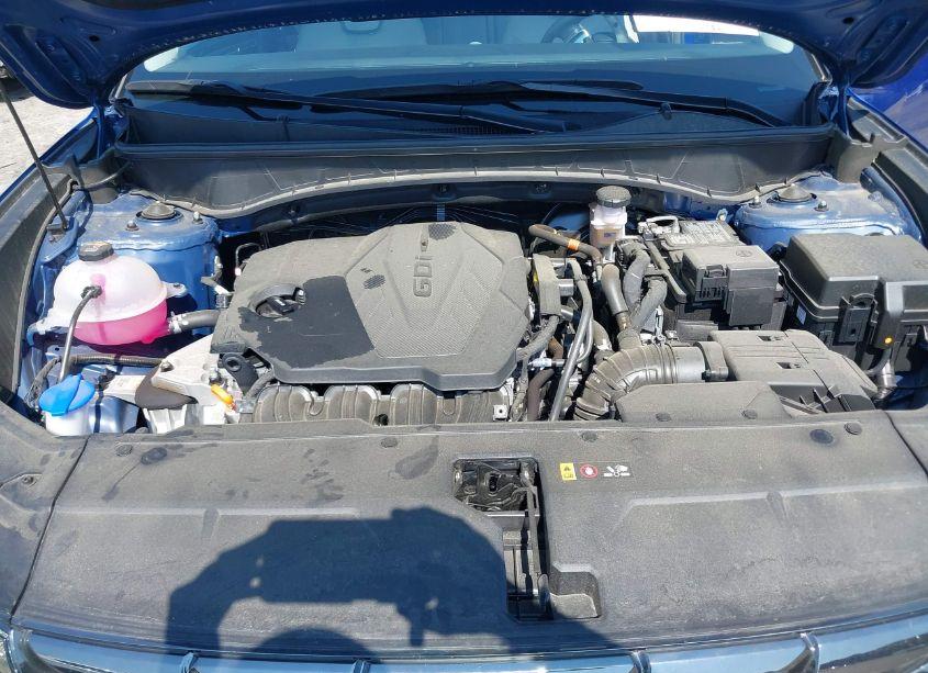 Photo 10 of 2023 Hyundai Tucson LIMITED (VIN 5NMJECAE9PH237176)