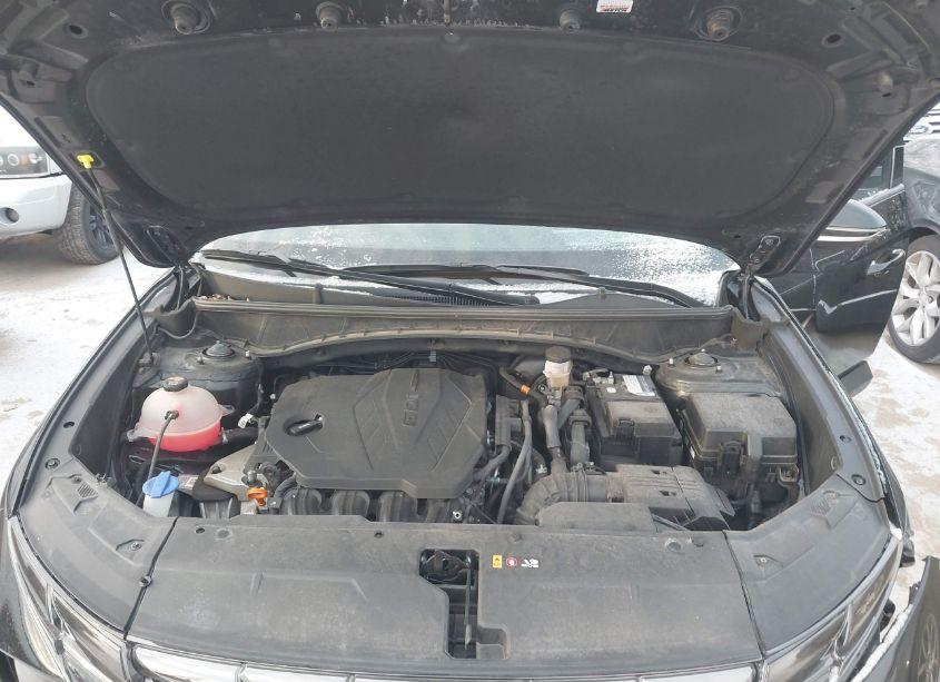 Photo 10 of 2022 Hyundai Tucson LIMITED (VIN 5NMJECAEXNH065995)