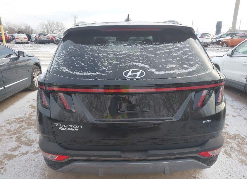 Photo 16 of 2022 Hyundai Tucson LIMITED (VIN 5NMJECAEXNH065995)
