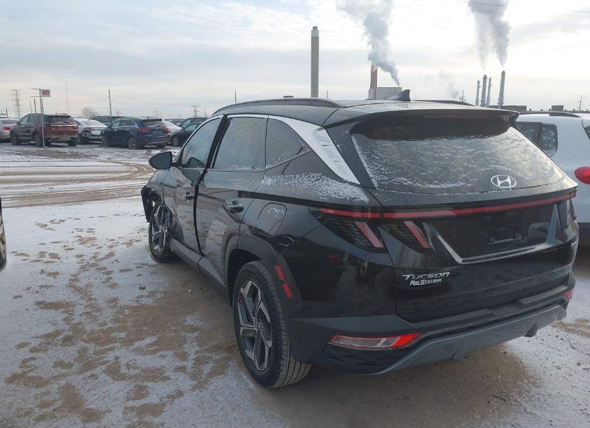 Photo 3 of 2022 Hyundai Tucson LIMITED (VIN 5NMJECAEXNH065995)