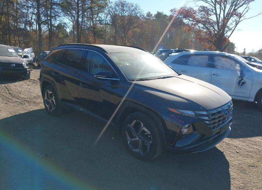 2023 Hyundai Tucson LIMITED (VIN 5NMJECAEXPH206731) main photo