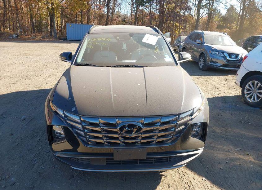 Photo 12 of 2023 Hyundai Tucson LIMITED (VIN 5NMJECAEXPH206731)