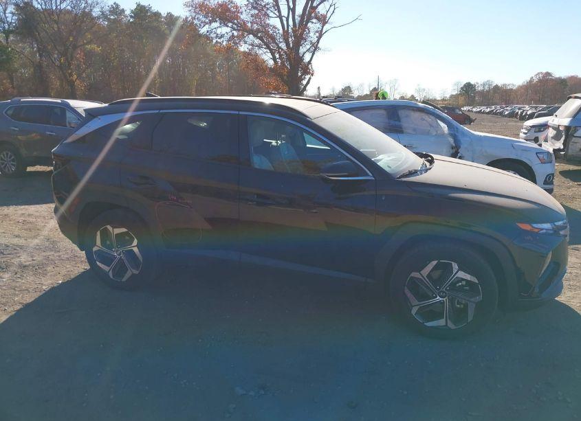 Photo 13 of 2023 Hyundai Tucson LIMITED (VIN 5NMJECAEXPH206731)