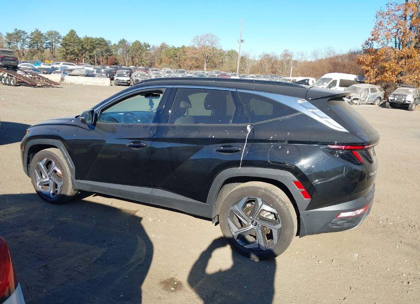 Photo 14 of 2023 Hyundai Tucson LIMITED (VIN 5NMJECAEXPH206731)