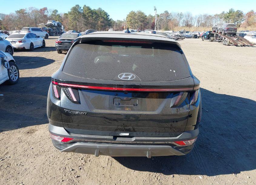 Photo 16 of 2023 Hyundai Tucson LIMITED (VIN 5NMJECAEXPH206731)
